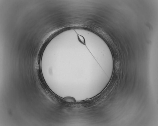 X0000112430628200909111030
