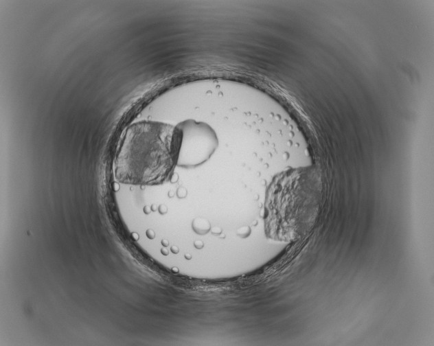 X0000112430629200909111030