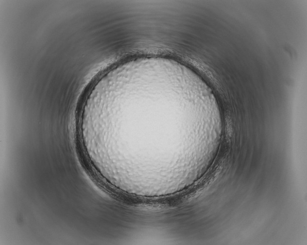 X0000112430630200909111030