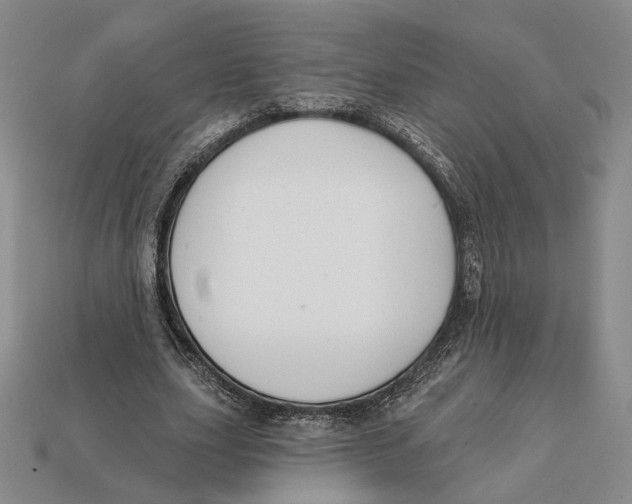 X0000112430631200909111030