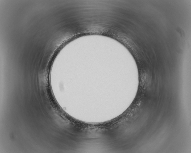 X0000112430632200909111030
