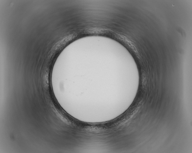 X0000112430633200909111030