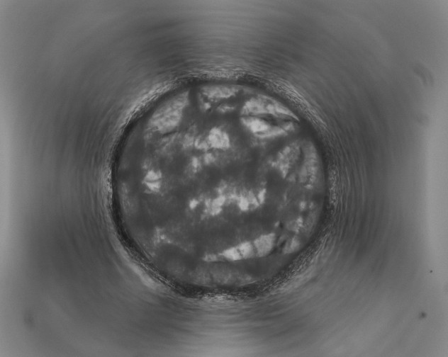 X0000112430634200909111030