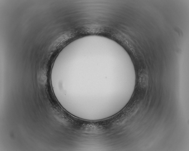 X0000112430635200909111031