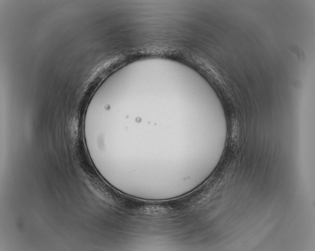 X0000112430636200909111031