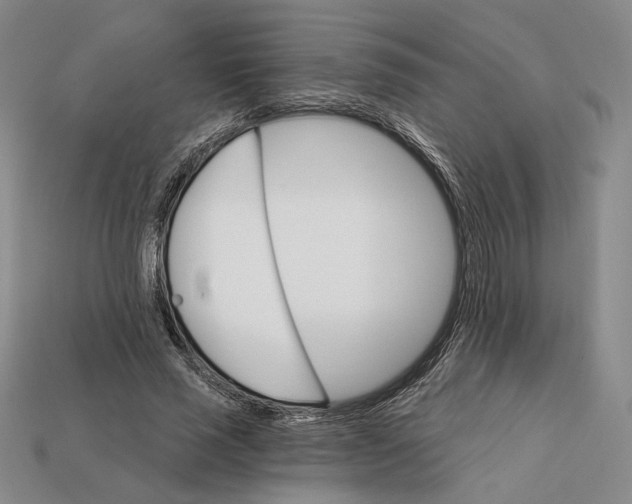 X0000112430637200909111031