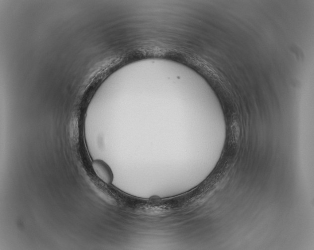 X0000112430638200909111031