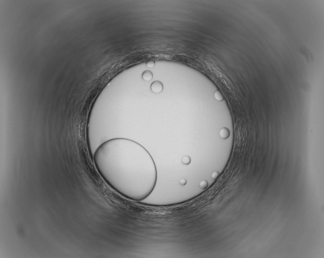 X0000112430639200909111031