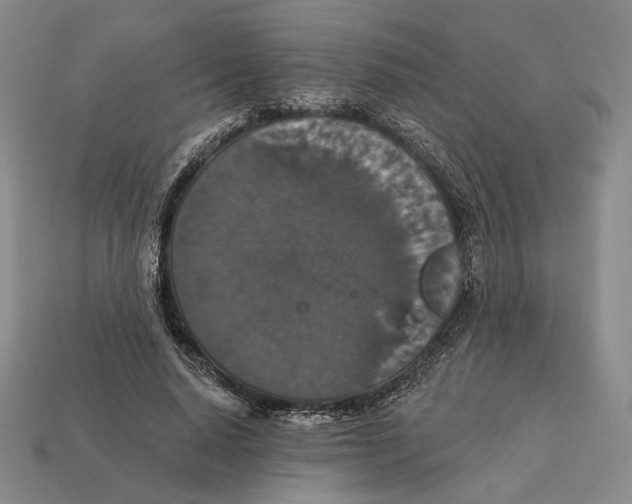 X0000112430640200909111031