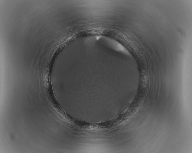 X0000112430641200909111031