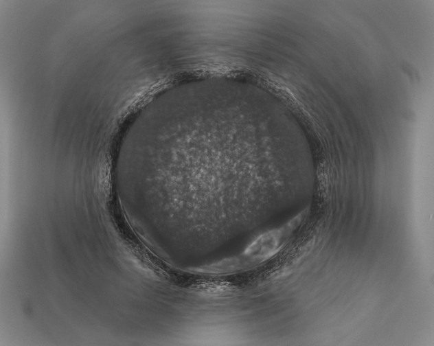 X0000112430642200909111031