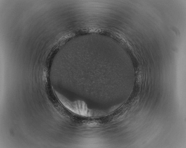 X0000112430643200909111031