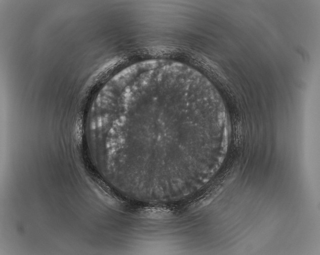 X0000112430644200909111031