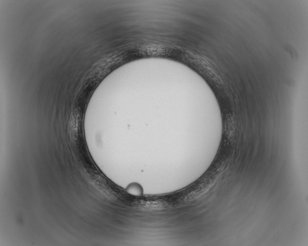 X0000112430645200909111031