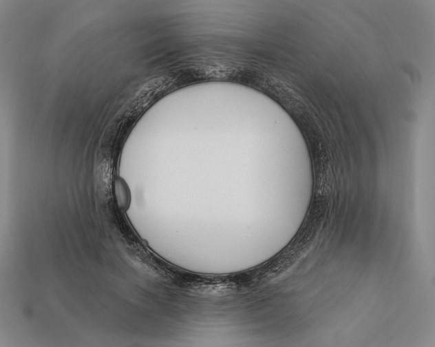 X0000112430646200909111031