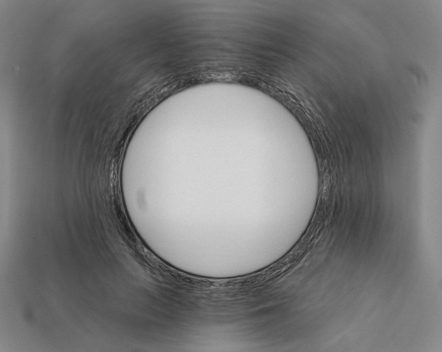 X0000112430647200909111031