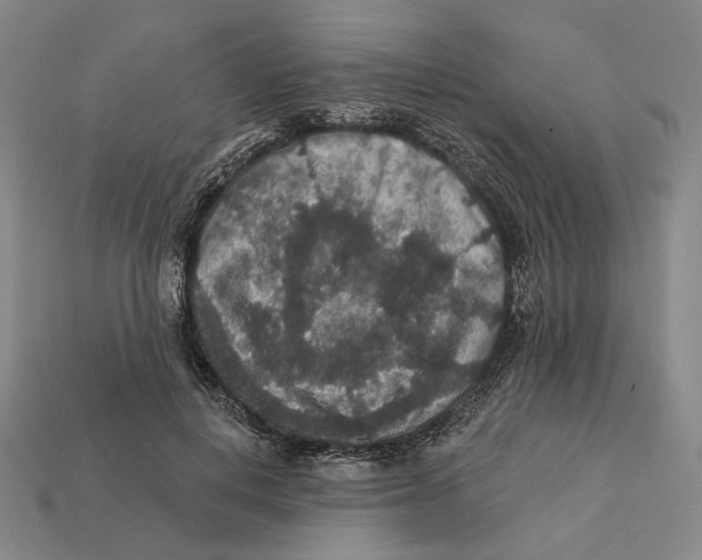 X0000112430648200909111031