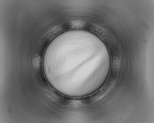 X0000112430649200909111031