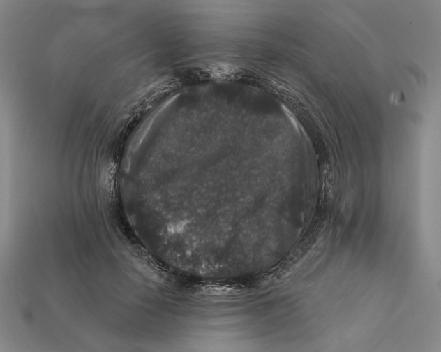 X0000112430650200909111031