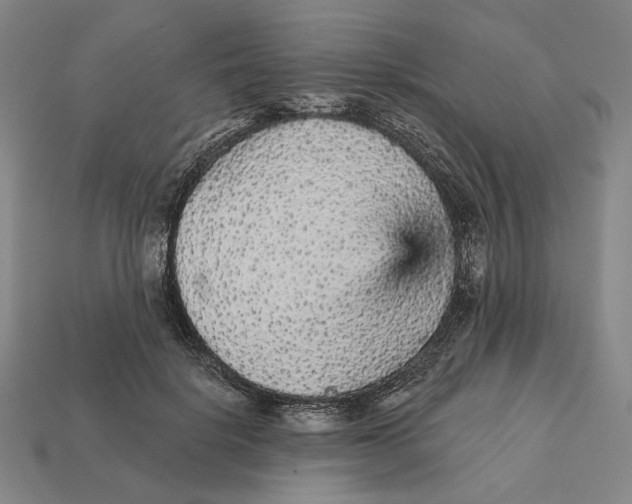 X0000112430652200909111031