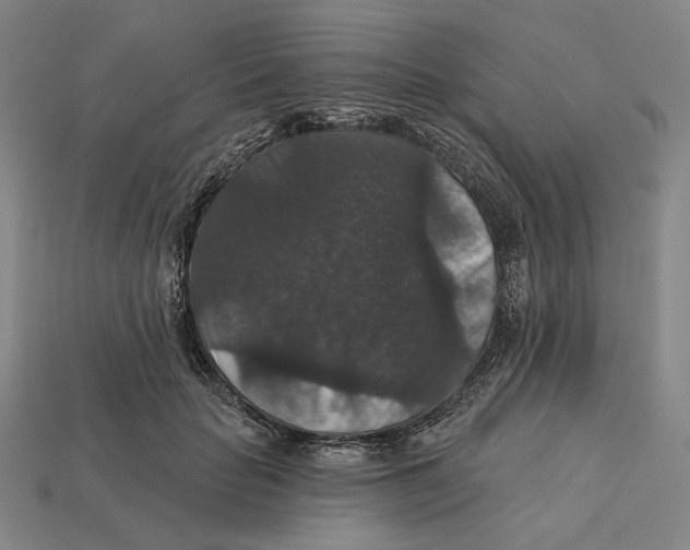 X0000112430653200909111031
