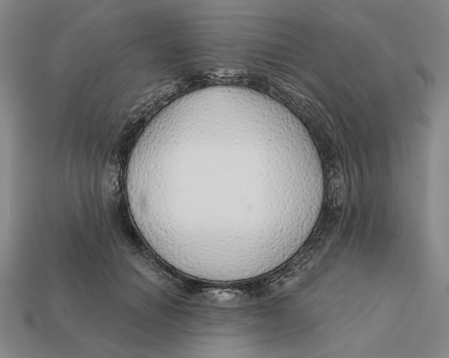 X0000112430654200909111031