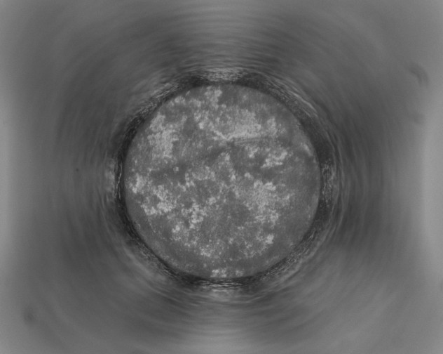 X0000112430655200909111031