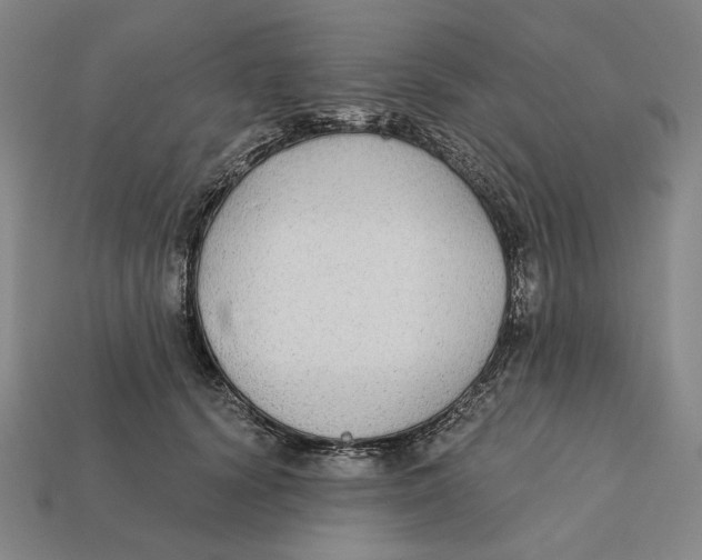 X0000112430656200909111031