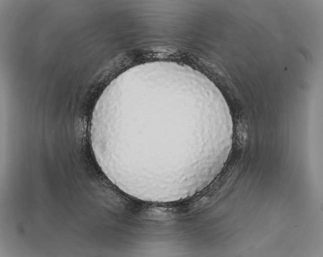 X0000112430657200909111031
