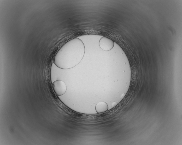 X0000112430658200909111031