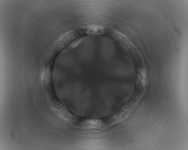 X0000112430659200909111031