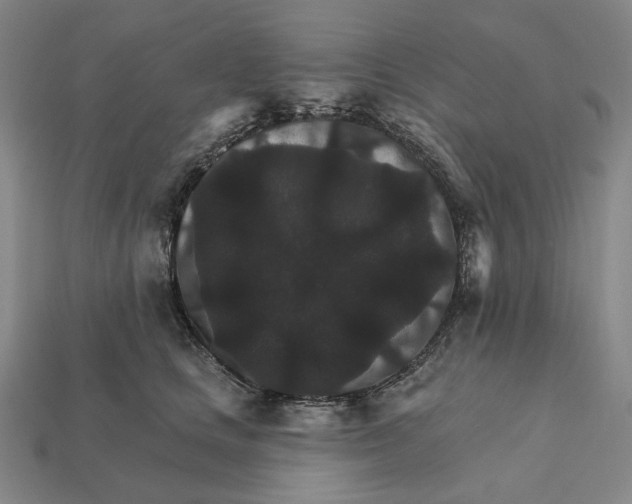 X0000112430661200909111031