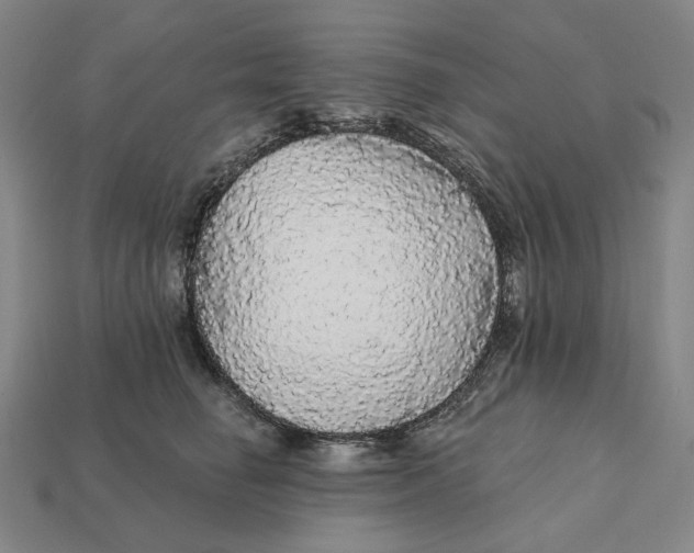 X0000112430662200909111031