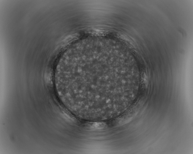 X0000112430663200909111031