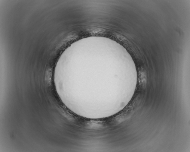 X0000112430664200909111031