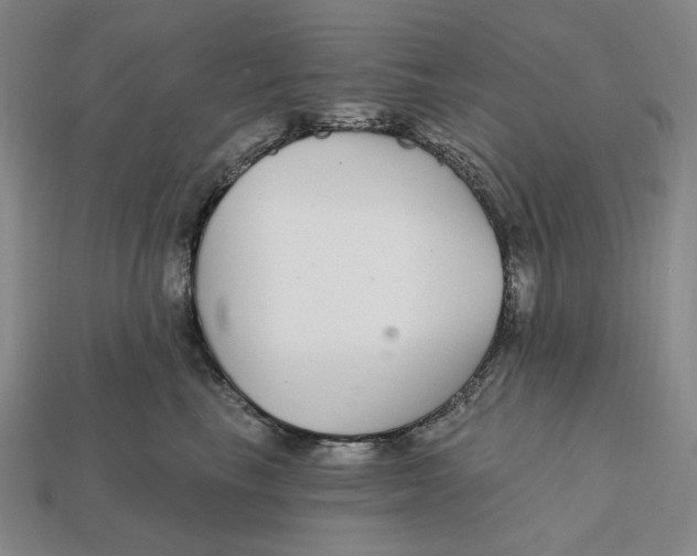 X0000112430665200909111031