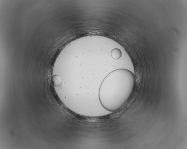 X0000112430666200909111031