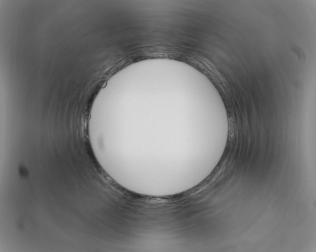 X0000112430669200909111031