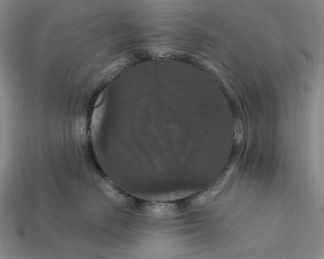 X0000112430670200909111031