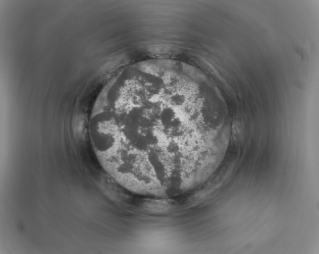 X0000112430671200909111031