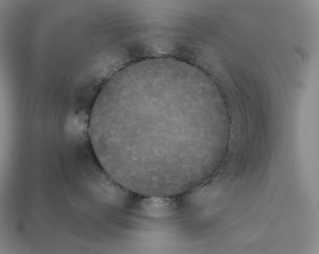 X0000112430672200909111031
