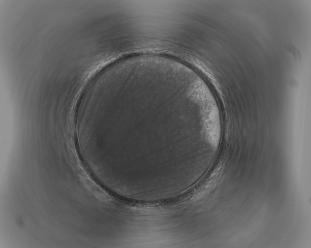 X0000112430673200909111030