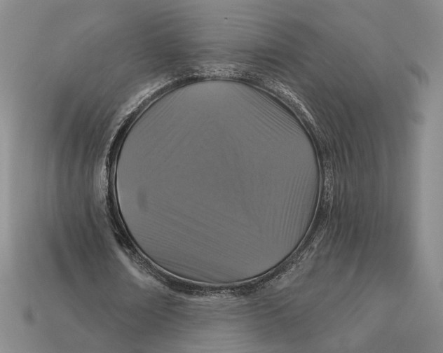 X0000112430674200909111030