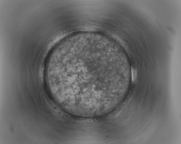 X0000112430675200909111030
