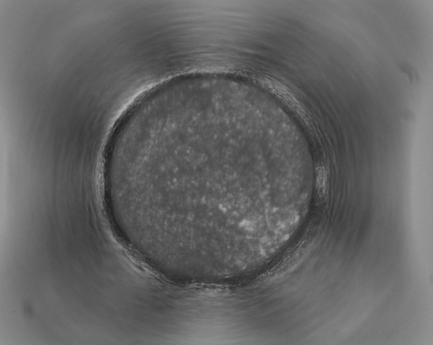 X0000112430676200909111030