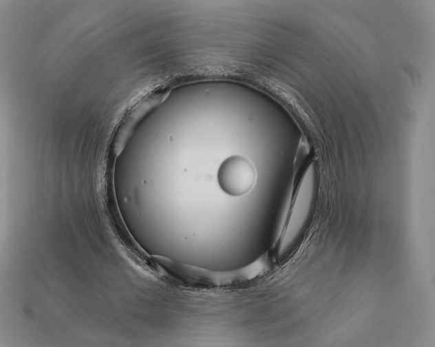 X0000112430677200909111030