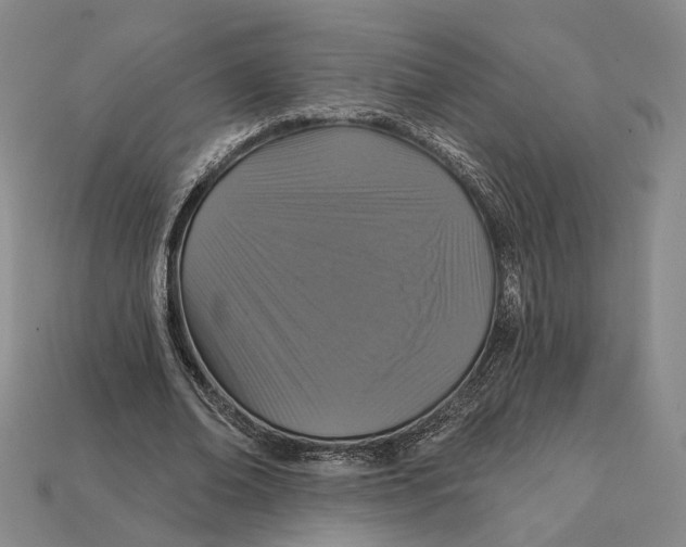 X0000112430678200909111030