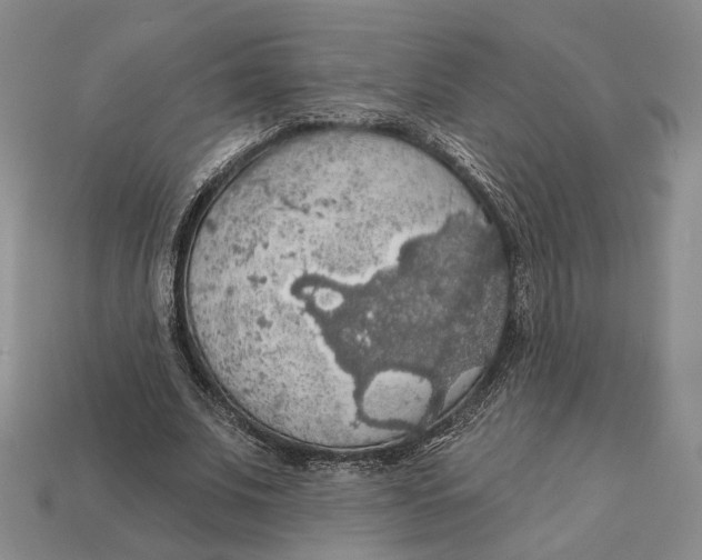 X0000112430679200909111030