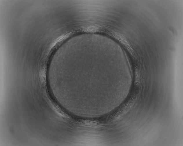 X0000112430681200909111030
