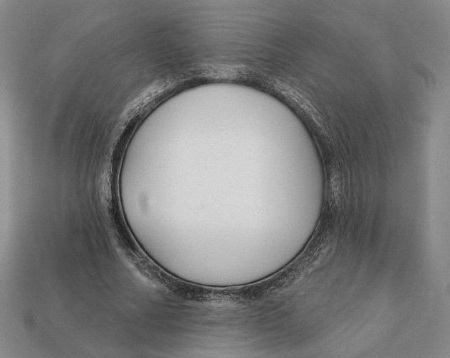 X0000112430682200909111030